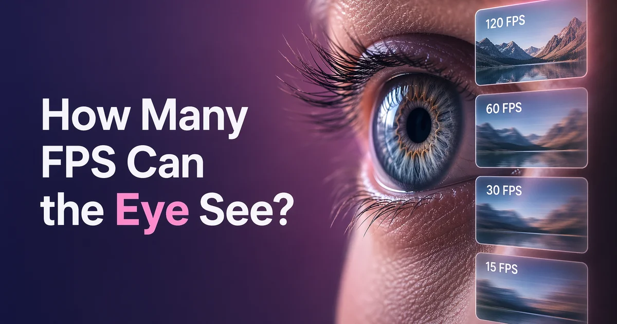 Visual representation of human eye FPS limits and frame rates for video content